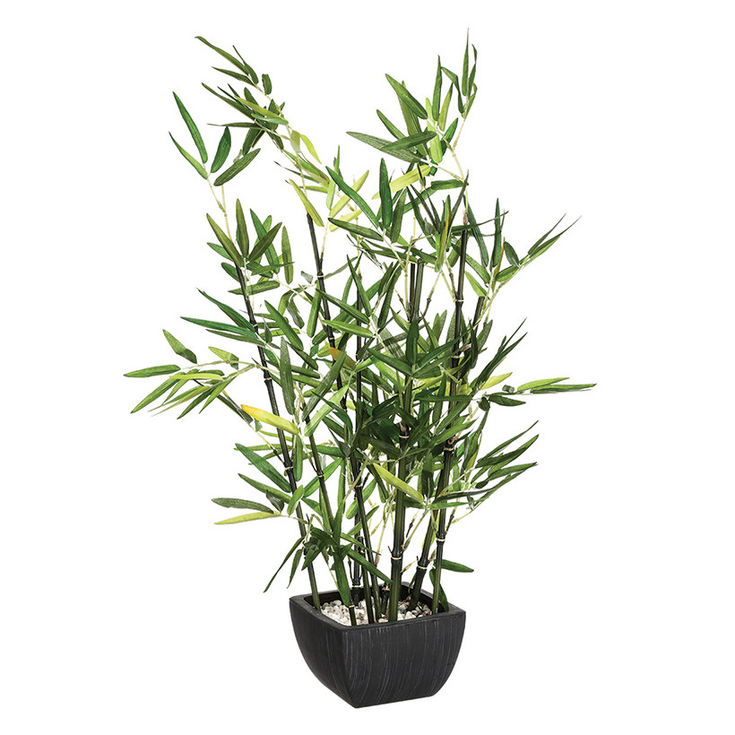 Φυτό σε γλάστρα Green  43x34x67εκ