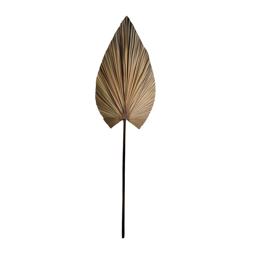 Διακοσμητικό φύλλο Leafen  φυσικό palm leaf 134εκ
