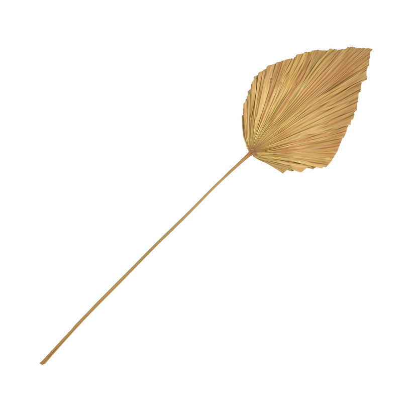 Διακοσμητικό φύλλο Walsy Inart palm leaf σε φυσική απόχρωση Υ135 εκ