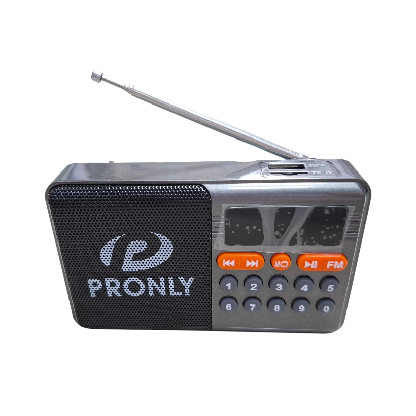Επαναφορτιζόμενο ραδιόφωνο με Bluetooth - PR-808BT - 241335 - Grey