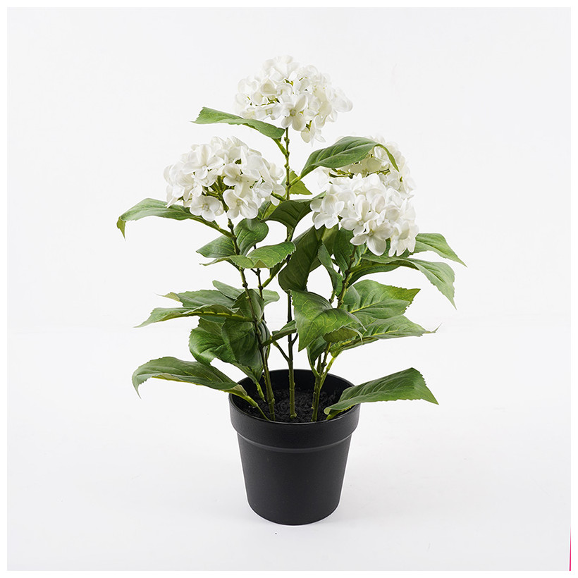 Διακοσμητικό φυτό σε γλάστρα Hydrangea Inart λευκό Φ35x50εκ