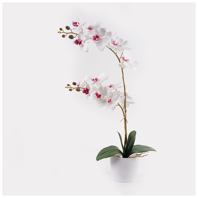 Διακοσμητικό φυτό σε γλάστρα Οrchid White Inart 36x17x65εκ