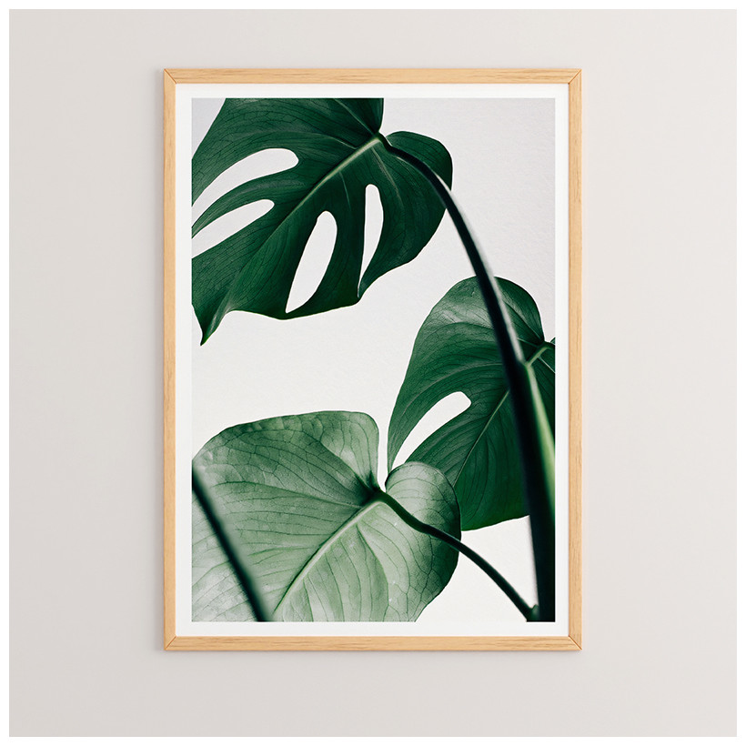 Πίνακας Leafy  με ψηφιακή εκτύπωση και πλαίσιο 33x1.5x48εκ