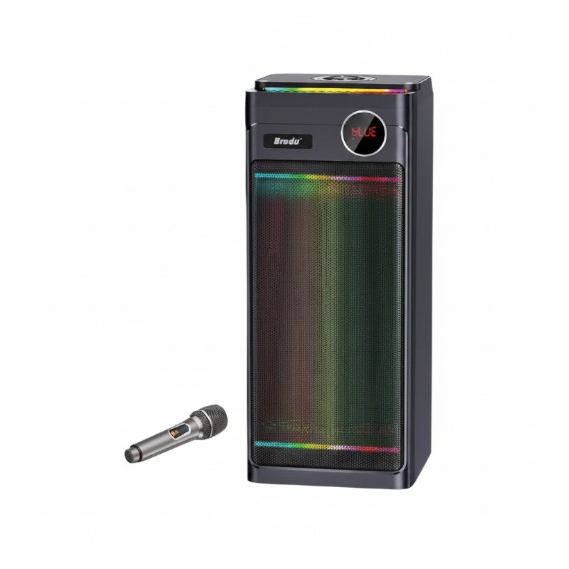 Φορητό ηχείο subwoofer με μικρόφωνο Karaoke - BTS-2243 - 722435