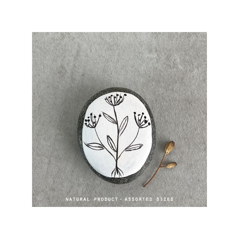 Βότσαλο γκρι- Cow parsley
