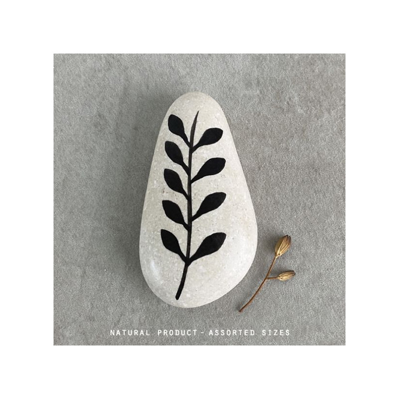 Βότσαλο λευκό-Stem with leaves