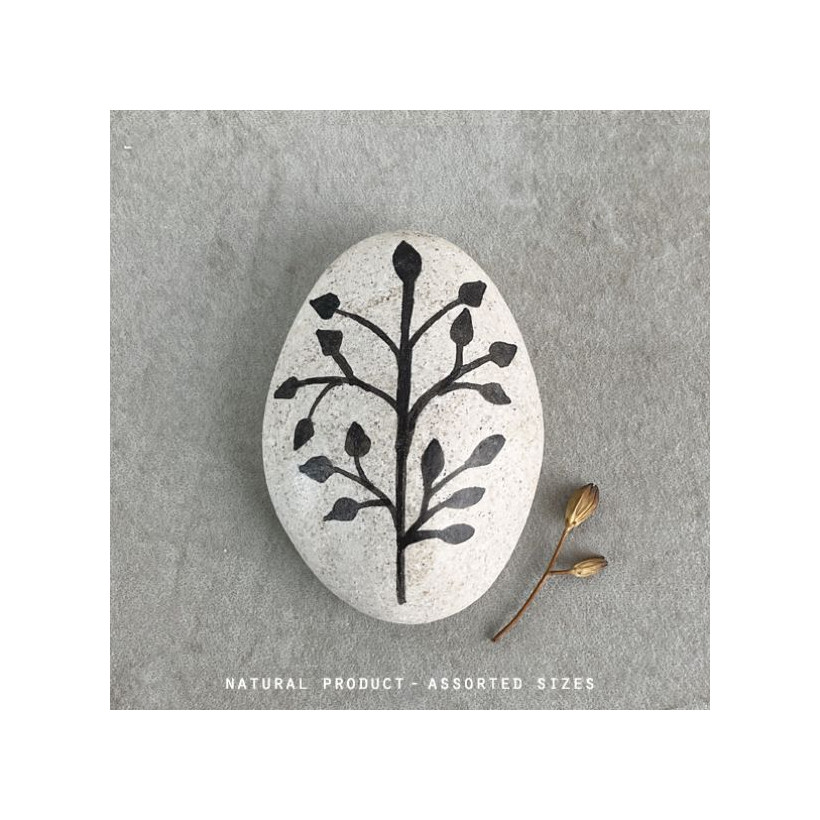 Βότσαλο λευκό - Twig with leaves