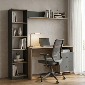 Σύνθεση γραφείου Kontor  sonoma-ανθρακί 160x50x158,2εκ