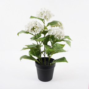 Διακοσμητικό φυτό σε γλάστρα Hydrangea Inart λευκό Φ35x50εκ