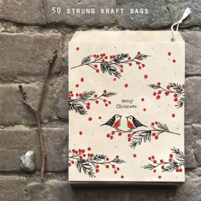 Σακουλάκια κραφτ 50 - Christmas robins