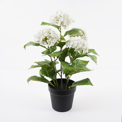 Διακοσμητικό φυτό σε γλάστρα Hydrangea Inart λευκό Φ35x50εκ