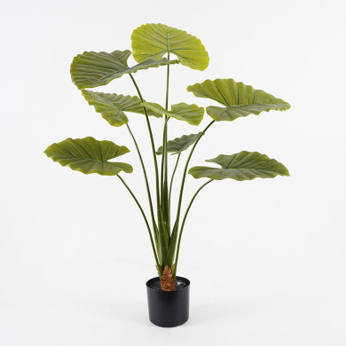 Διακοσμητικό φυτό σε γλάστρα Alocasia Inart πράσινο Φ90x120εκ